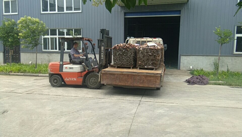 恭喜我公司网站上线！